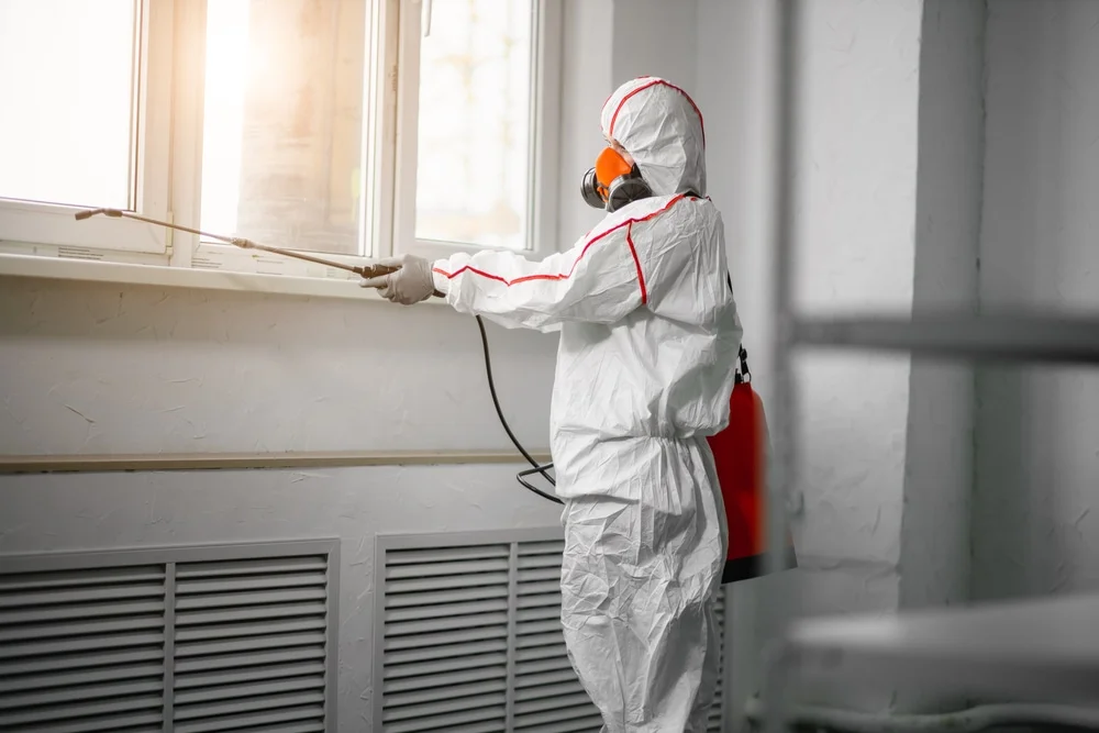 Professional mold remediation services in Joint Base Mdl, NJ
